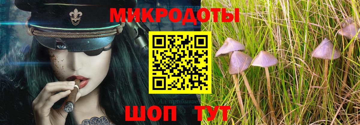 Псилоцибиновые грибы мицелий  Вход с VPN  Псилоцибиновые грибы прущие грибы  Кудрово 
